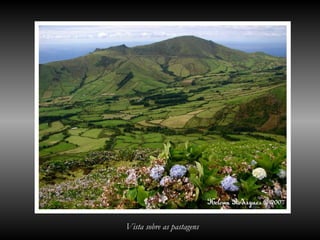 Vista sobre as pastagens
 