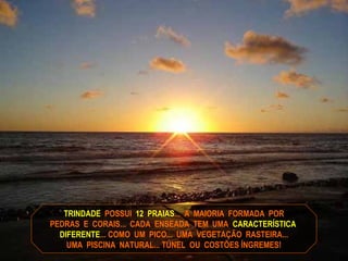 TRINDADE POSSUI 12 PRAIAS... A MAIORIA FORMADA POR
PEDRAS E CORAIS... CADA ENSEADA TEM UMA CARACTERÍSTICA
DIFERENTE... COMO UM PICO... UMA VEGETAÇÃO RASTEIRA...
UMA PISCINA NATURAL... TÚNEL OU COSTÕES ÍNGREMES!
 