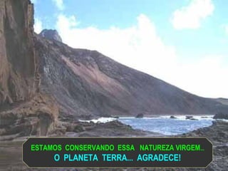 ESTAMOS CONSERVANDO ESSA NATUREZA VIRGEM...
O PLANETA TERRA... AGRADECE!
 