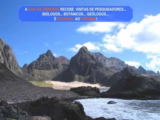A ILHA DA TRINDADE RECEBE VISITAS DE PESQUISADORES...
BIÓLOGOS... BOTÂNICOS... GEÓLOGOS...
É FECHADA AO TURISMO!
 