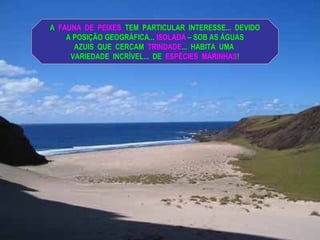 A FAUNA DE PEIXES TEM PARTICULAR INTERESSE... DEVIDO
A POSIÇÃO GEOGRÁFICA... ISOLADA – SOB AS ÁGUAS
AZUIS QUE CERCAM TRINDADE... HABITA UMA
VARIEDADE INCRÍVEL... DE ESPÉCIES MARINHAS!
 