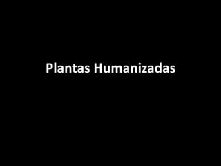Plantas Humanizadas