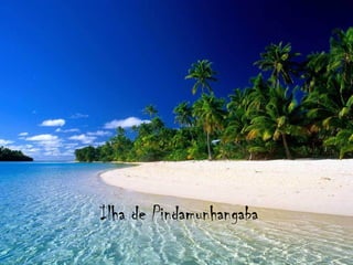 Ilha   de   Pindamunhangaba 