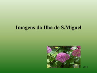 Imagens da Ilha de S.Miguel 2010 