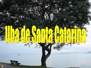 Ilha de Santa Catarina 