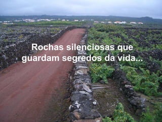 Rochas silenciosas que guardam segredos da vida...