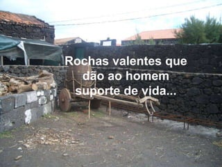 Rochas valentes que dão ao homem suporte de vida...