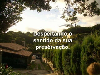 Despertando o sentido da sua preservação.