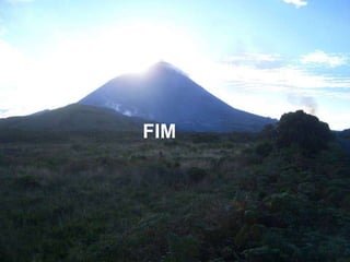 FIM