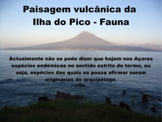 Paisagem vulcânica da
      Ilha do Pico - Fauna


Actualmente não se pode dizer que hajam nos Açores
 espécies endémicas no sentido estrito do termo, ou
  seja, espécies das quais se possa afirmar serem
             originárias do arquipélago.
 