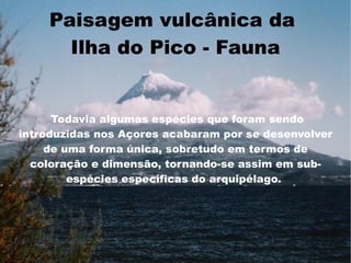 Paisagem vulcânica da
      Ilha do Pico - Fauna


      Todavia algumas espécies que foram sendo
introduzidas nos Açores acabaram por se desenvolver
     de uma forma única, sobretudo em termos de
  coloração e dimensão, tornando-se assim em sub-
         espécies específicas do arquipélago.
 