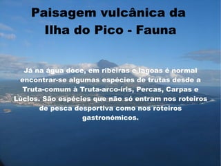 Paisagem vulcânica da
      Ilha do Pico - Fauna


  Já na água doce, em ribeiras e lagoas é normal
 encontrar-se algumas espécies de trutas desde a
  Truta-comum à Truta-arco-íris, Percas, Carpas e
Lúcios. São espécies que não só entram nos roteiros
       de pesca desportiva como nos roteiros
                  gastronómicos.
 