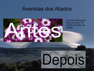 Avenidas dos Aliados
                                        O verde desta praça




Antes
                                        fazia um pouco de
                                        pulmão na baixa da
                                        cidade.




Todos os dias centenas de turistas




                                     Depois
eram atraidos pela sua beleza.
 