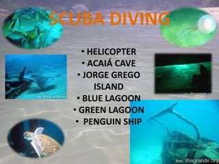 SCUBA DIVING
     • HELICOPTER
     • ACAIÁ CAVE
   • JORGE GREGO
        ISLAND
   • BLUE LAGOON
  • GREEN LAGOON
   • PENGUIN SHIP
 