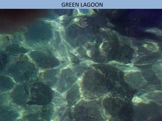 GREEN LAGOON
 