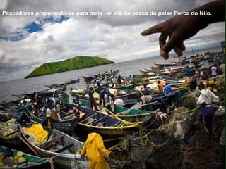 Pescadores preparando-se para mais um dia de pesca do peixe Perca do Nilo.
 