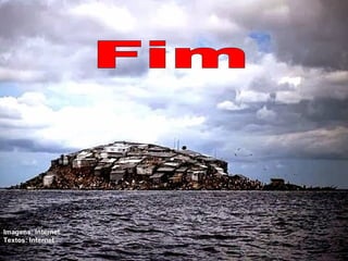 Imagens: Internet
Textos: Internet
 