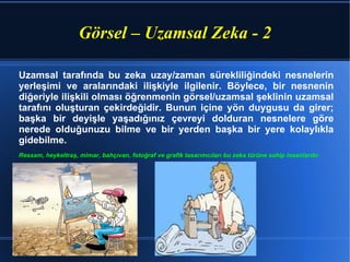 Uzamsal tarafında bu zeka uzay/zaman sürekliliğindeki nesnelerin yerleşimi ve aralarındaki ilişkiyle ilgilenir. Böylece, bir nesnenin diğeriyle ilişkili olması öğrenmenin görsel/uzamsal şeklinin uzamsal tarafını oluşturan çekirdeğidir. Bunun içine yön duygusu da girer; başka bir deyişle yaşadığınız çevreyi dolduran nesnelere göre nerede olduğunuzu bilme ve bir yerden başka bir yere kolaylıkla gidebilme. Ressam, heykeltraş, mimar, bahçıvan, fotoğraf ve grafik tasarımcıları bu zeka türüne sahip insanlardır. Görsel – Uzamsal Zeka - 2 