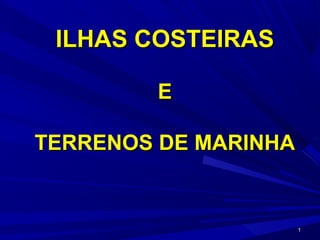 11
ILHAS COSTEIRASILHAS COSTEIRAS
EE
TERRENOS DE MARINHATERRENOS DE MARINHA
 