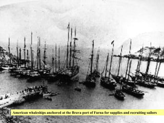 Brava Brava is also known as the craddle of the first and perhaps the most famous sailors of Cabo Verde. Names such as John Manta, João J. Azevedo, Francisco Senna, among many others are reknown names of experienced sailors who have honoured the name of Cabo Verde throughout the world. Brava is also known for its ship building of wooden vessels for voyages not only within the country but also to the Americas and Africa. The establishment on the island of the ‘Escola Principal’ of Cabo Verde in 1847, was the breeding ground for great things to come. Well known sailing vessels like "Senador Vera Cruz", "Marlene", "Nova Sintra", "Santa Clara“, “Carvalho” were all built in Brava. Captain João J. Azevedo aboard the ‘Madalan’ First ship captains from Brava (licensed in Brazil and Portugal) Captain Alberto Senna aboard the ‘John Manta’ Capt. Francisco Senna American whaleships anchored at the Brava port of Furna for supplies and recruiting sailors 