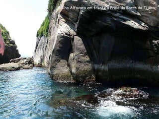 Ilha Alfavaca em frente a Praia da Barra da Tijuca.
 