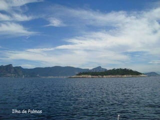 Ilha de Palmas
 