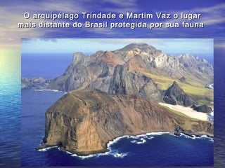 O arquipélago Trindade e Martim Vaz o lugarO arquipélago Trindade e Martim Vaz o lugar
mais distante do Brasil protegida por sua faunamais distante do Brasil protegida por sua fauna
 