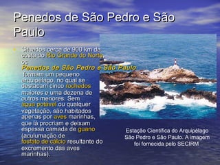 Penedos de São Pedro e SãoPenedos de São Pedro e São
PauloPaulo
• Situados cerca de 900 km daSituados cerca de 900 km da
costa docosta do Rio Grande do NorteRio Grande do Norte,,
osos
Penedos de São Pedro e São PauloPenedos de São Pedro e São Paulo
formam um pequenoformam um pequeno
arquipélago, no qual searquipélago, no qual se
destacam cincodestacam cinco rochedosrochedos
maiores e uma dezena demaiores e uma dezena de
outros menores. Semoutros menores. Sem
água potávelágua potável ou qualquerou qualquer
vegetação, são habitadosvegetação, são habitados
apenas porapenas por avesaves marinhas,marinhas,
que lá procriam e deixamque lá procriam e deixam
espessa camada deespessa camada de guanoguano
(aculumação de(aculumação de
fosfato de cálciofosfato de cálcio resultante doresultante do
excremento das avesexcremento das aves
marinhas).marinhas).
Estação Científica do Arquipélago
São Pedro e São Paulo. A imagem
foi fornecida pelo SECIRM
 
