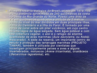 • Primeira reserva biológica do Brasil, criada em 1979, ficaPrimeira reserva biológica do Brasil, criada em 1979, fica
a uma distância aproximada de 240 quilômetros da costaa uma distância aproximada de 240 quilômetros da costa
nordeste do Rio Grande do Norte. Possui uma área denordeste do Rio Grande do Norte. Possui uma área de
7,2 mil quilômetros quadrados e altitude de 3 metros7,2 mil quilômetros quadrados e altitude de 3 metros
acima do nível do mar divididos em duas principais ilhas,acima do nível do mar divididos em duas principais ilhas,
a Ilha do Cemitério e a Ilha do Farol. É formado por umaa Ilha do Cemitério e a Ilha do Farol. É formado por uma
coroa de coral sobre um pilar vulcânico, em cujo centrocoroa de coral sobre um pilar vulcânico, em cujo centro
há uma lagoa de água salgada. Sem água potável e comhá uma lagoa de água salgada. Sem água potável e com
rala cobertura vegetal, o atol é o refúgio de enormerala cobertura vegetal, o atol é o refúgio de enorme
quantidade de aves marinhas (quantidade de aves marinhas ( Sula dactylatraSula dactylatra, ou Atobá-, ou Atobá-
mascarado). A sede da reserva, um importante centro demascarado). A sede da reserva, um importante centro de
estudo e proteção das tartarugas marinhas (PROJETOestudo e proteção das tartarugas marinhas (PROJETO
TAMAR), também é utilizada por cientistas queTAMAR), também é utilizada por cientistas que
investigam principalmente peixes e aves e algunsinvestigam principalmente peixes e aves e alguns
invertebrados, moluscos (invertebrados, moluscos ( Arene tricarinataArene tricarinata), crustáceos), crustáceos
((Gecarcinus lagostoma)Gecarcinus lagostoma) , etc., etc.
 