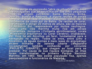 • O nome surge da expressão "abra os olhos", alerta dadoO nome surge da expressão "abra os olhos", alerta dado
aos navegantes que se aproximavam das cinco pequenasaos navegantes que se aproximavam das cinco pequenas
ilhas de origem vulcânica: Santa Bárbara, Siriba,ilhas de origem vulcânica: Santa Bárbara, Siriba,
Guariba, Sueste e Redonda, e alguns recifes de coraisGuariba, Sueste e Redonda, e alguns recifes de corais
como o Parcel das Paredes, distantes cerca de 80como o Parcel das Paredes, distantes cerca de 80
quilômetros da costa sul da Bahia. Os recifes de coral,quilômetros da costa sul da Bahia. Os recifes de coral,
que chegam a atingir 20 metros de altura, são os maioresque chegam a atingir 20 metros de altura, são os maiores
do Atlântico Sul, responsáveis por muitos naufrágios.do Atlântico Sul, responsáveis por muitos naufrágios.
Possui uma vida marinha muita rica em peixesPossui uma vida marinha muita rica em peixes
ornamentais, moluscos (ornamentais, moluscos ( Collisella abrolhosensisCollisella abrolhosensis ), corais), corais
((Mussismilia braziliensisMussismilia braziliensis ou Coral Cérebro), crustáceos,ou Coral Cérebro), crustáceos,
etc. Hoje há em Abrolhos um farol, fundamental para aetc. Hoje há em Abrolhos um farol, fundamental para a
navegação na região. Todos os anos, entre julho enavegação na região. Todos os anos, entre julho e
novembro, as águas mornas e mais rasas do arquipélagonovembro, as águas mornas e mais rasas do arquipélago
atraem milhares de baleias jubarte (atraem milhares de baleias jubarte ( MegapteraMegaptera
novaeangliaenovaeangliae) também conhecida por corcunda) também conhecida por corcunda
(PROJETO JUBARTE), que chegam ao local para se(PROJETO JUBARTE), que chegam ao local para se
acasalar. Por causa de sua riqueza biológica, as ilhasacasalar. Por causa de sua riqueza biológica, as ilhas
foram transformadas no primeiro Parque Nacionalforam transformadas no primeiro Parque Nacional
Marinho, em 1983. Não existe população fixa, apenasMarinho, em 1983. Não existe população fixa, apenas
pesquisadores e funcionários da Marinha.pesquisadores e funcionários da Marinha.
•
Fonte: google
Produzido por Elô Steffens
 