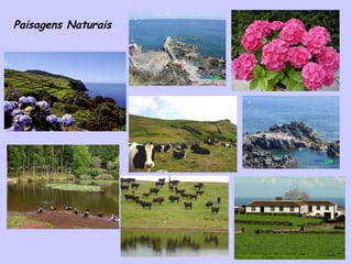 Paisagens Naturais 