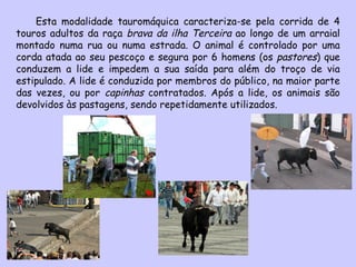 Esta modalidade tauromáquica caracteriza-se pela corrida de 4 touros adultos da raça  brava da ilha Terceira  ao longo de um arraial montado numa rua ou numa estrada. O animal é controlado por uma corda atada ao seu pescoço e segura por 6 homens (os  pastores ) que conduzem a lide e impedem a sua saída para além do troço de via estipulado. A lide é conduzida por membros do público, na maior parte das vezes, ou por  capinhas  contratados. Após a lide, os animais são devolvidos às pastagens, sendo repetidamente utilizados. 
