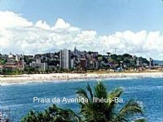 Praia da Avenida  Ilhéus-Ba. 