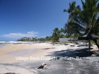 Village Back Door (3)  Ilhéus – Ba. 