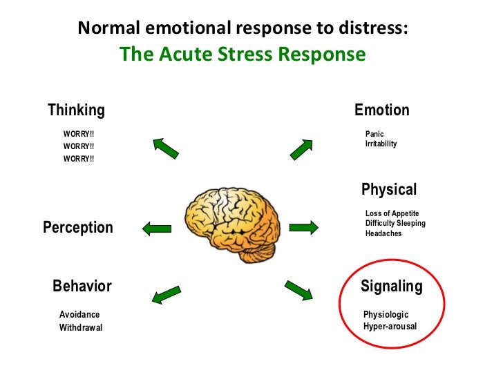 Responses. Be allowed to модальный глагол. Allows responses to. Поливагальная терапия. Header("access-control-allow-header: *");.