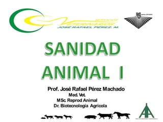 Prof. José Rafael Pérez Machado
Med. Vet.
MSc. Reprod
. Animal
Dr. Biotecnología Agrícola
 