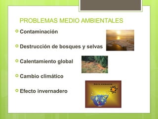 PROBLEMAS MEDIO AMBIENTALES
 Contaminación
 Destrucción de bosques y selvas
 Calentamiento global
 Cambio climático
 Efecto invernadero
 
