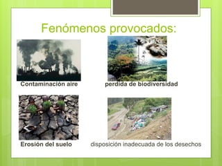 Fenómenos provocados:
Contaminación aire perdida de biodiversidad
Erosión del suelo disposición inadecuada de los desechos
 