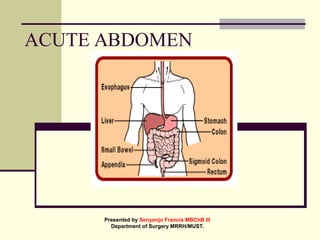 Comprehensive Overview of Acute Abdominal Pain Diagnosis and Management ...