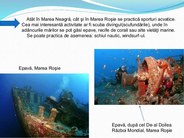 Ilie Andreea Ioana Marea NeagrÄ Marea Rosie