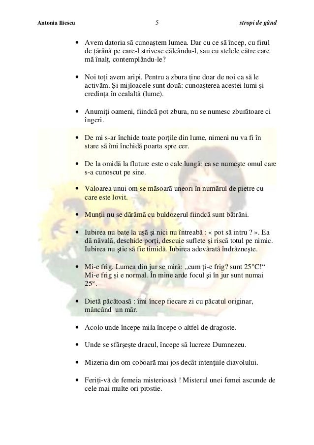 Iliescu Antonia Stropi De Gand Retail