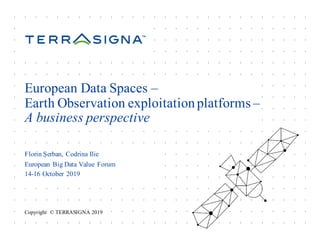 Copyright © TERRASIGNA 2019
European Data Spaces –
Earth Observation exploitationplatforms –
A business perspective
Florin Șerban, Codrina Ilie
European Big Data Value Forum
14-16 October 2019
 
