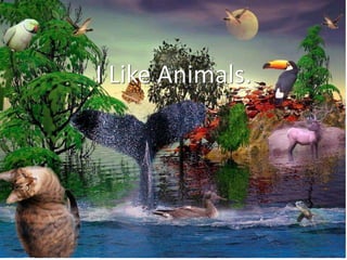 I Like Animals.
cc: Chrismatos ♥90% OFF, sorry - https://www.flickr.com/photos/31318464@N02
 
