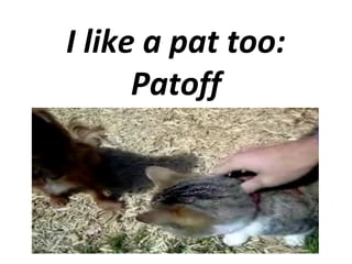 I like a pat too:
Patoff

 