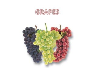 GRAPES