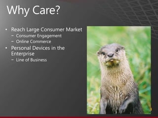 Why Care?Reach Large Consumer MarketConsumer EngagementOnline CommercePersonal Devices in the EnterpriseLine of Business