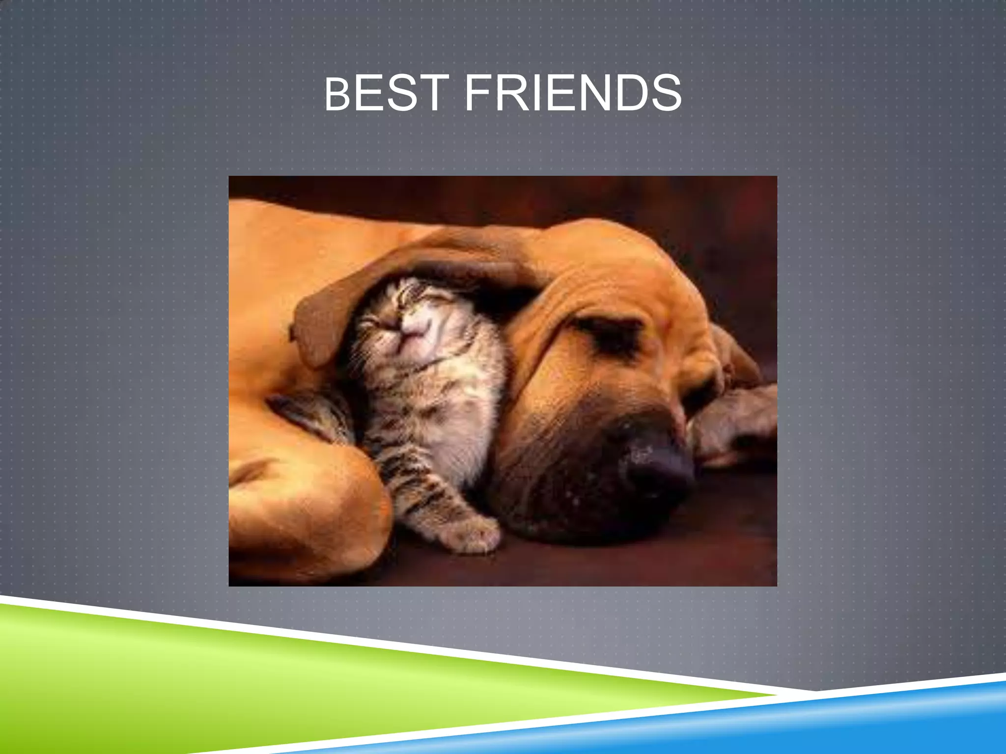 BEST FRIENDS
 