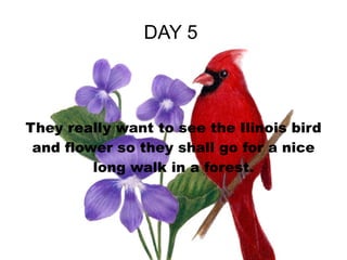 DAY 5  They really want to see the Ilinois bird and flower so they shall go for a nice long walk in a forest. 