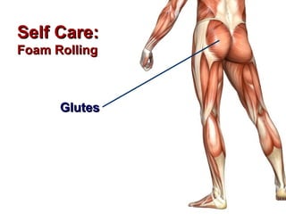 Self Care:
Foam Rolling



      Glutes
 