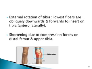 Iliotibial band contracture | PPTX